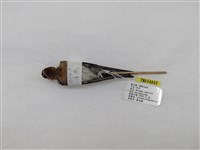 藏品(洋燕)的圖片